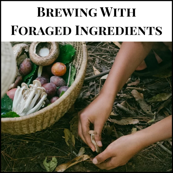 Brewing with Foraged Ingredients  June 21, 25